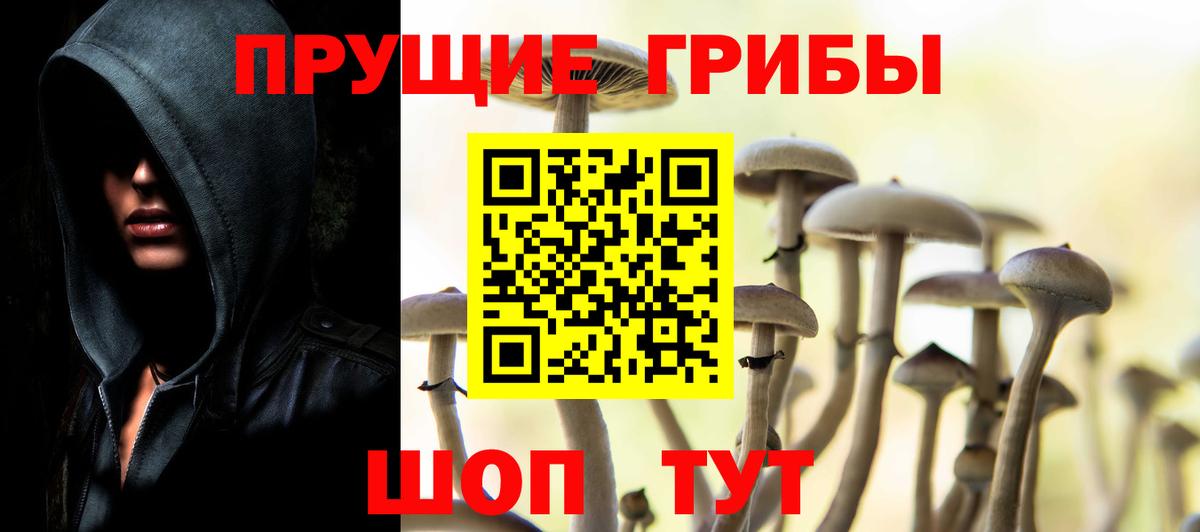 Светлоград  Псилоцибиновые грибы прущие грибы  Псилоцибиновые грибы ЛСД  Вход с VPN 